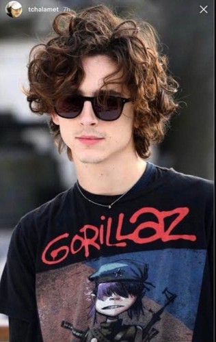 Gorillaz timothy chalamet - gorillaz,
